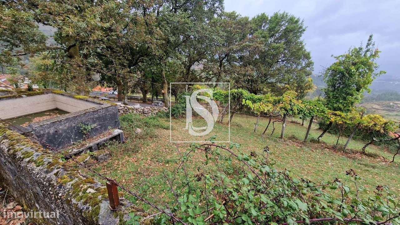 Vivenda de campo e vários terrenos para venda em Zebral, Vieira do Min-38