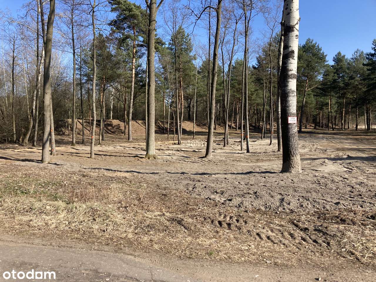 Działka rolna - Pełny obrazek: 4/4