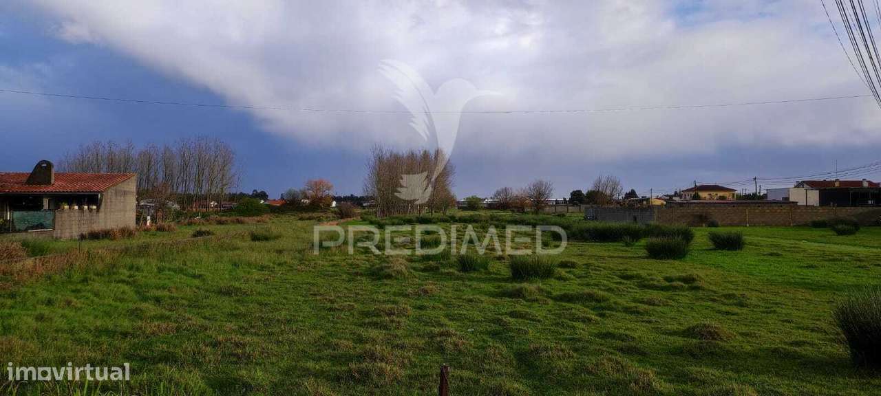 TERRENO URBANO CALVÃO - Grande imagem: 5/5