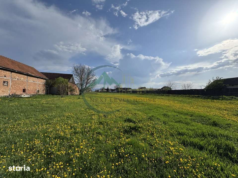 Teren 9500 mp plus Casa plus Anexe Gospodaresti - Imagine principală: 5/8