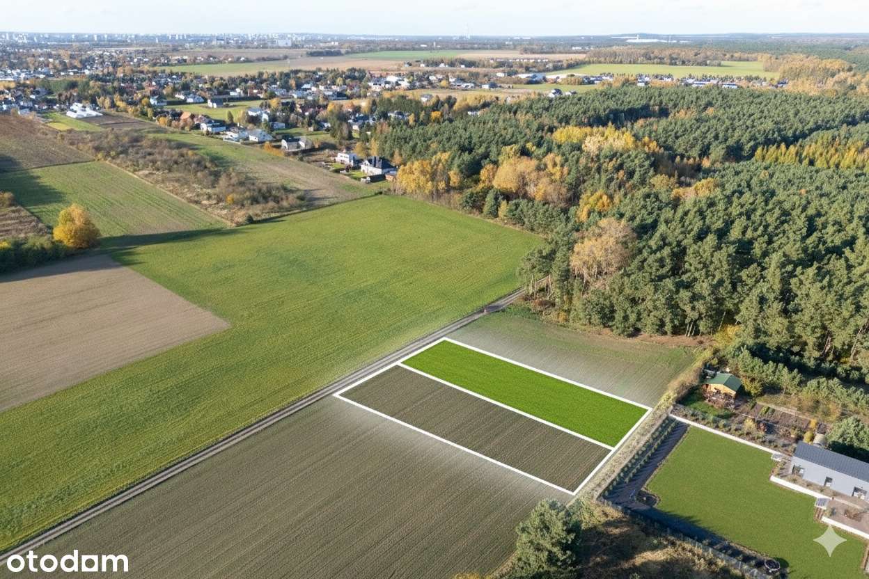 Działka 1665 m² – ul. Borecka, Poznań–Szczepankowo • WZ • przy lesie-1