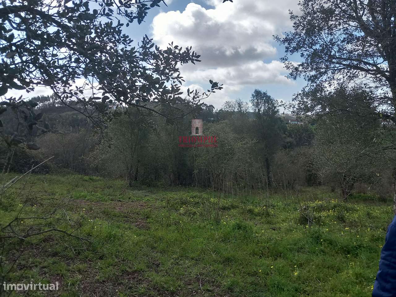 Terreno com árvores de fruto 4.440m2, Relvas, Caldas da Rainha - Grande imagem: 4/13