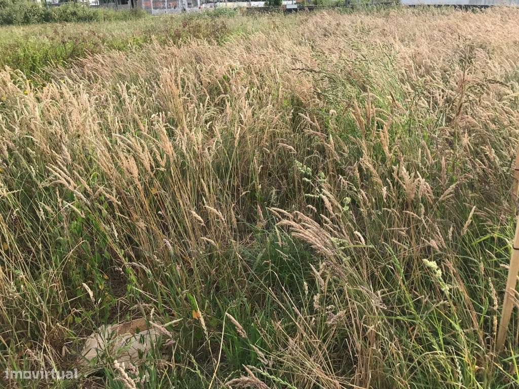 Terreno para construção de moradia - Estarreja - Grande imagem: 5/7