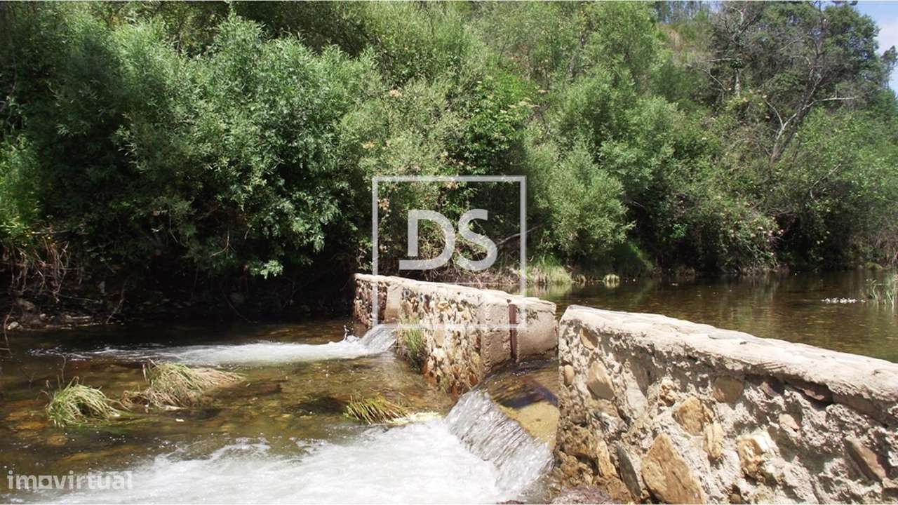 Terreno Rústico em Almaceda - Grande imagem: 4/9