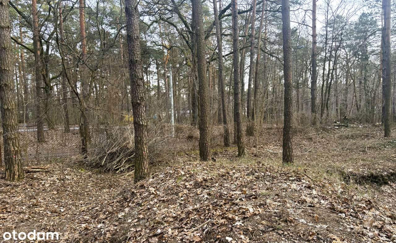 BUDOWLANA leśna działka w samym centrum Zalesia Górnego, przy rondzie - Pełny obrazek: 4/6