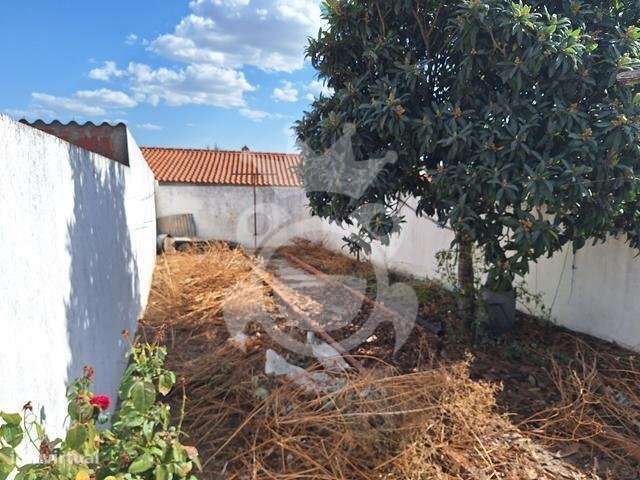 Moradia Térrea em Oriola-11