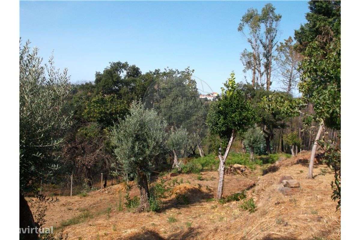 Casa para recuperação - Grande imagem: 2/8