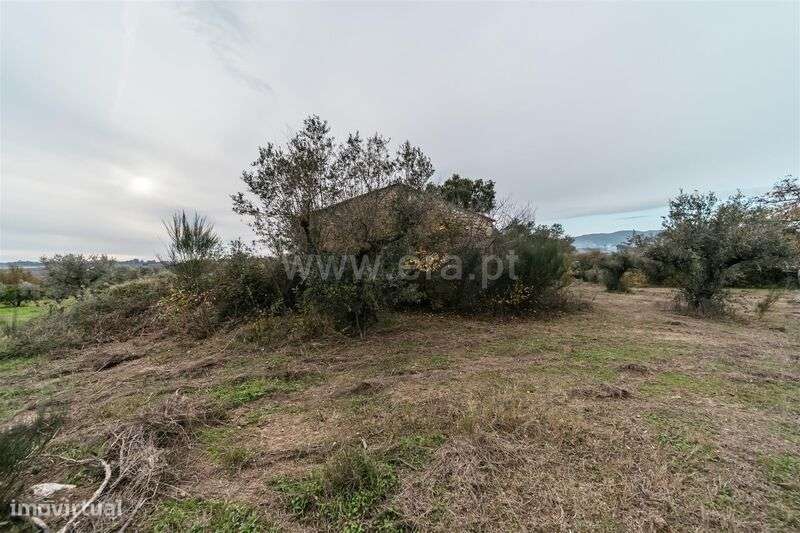 Quinta T1 / Fundão, Alpedrinha - Grande imagem: 4/20