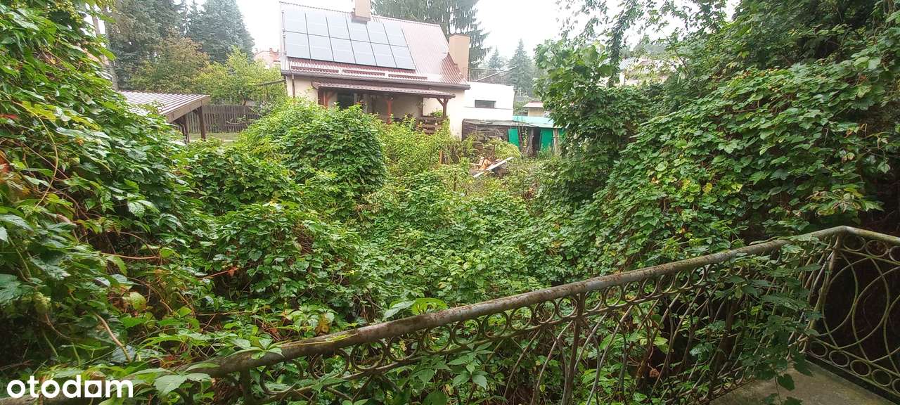 Udziały na sprzedaż- Działka w otoczeniu zabudowy jednorodzinnej-1