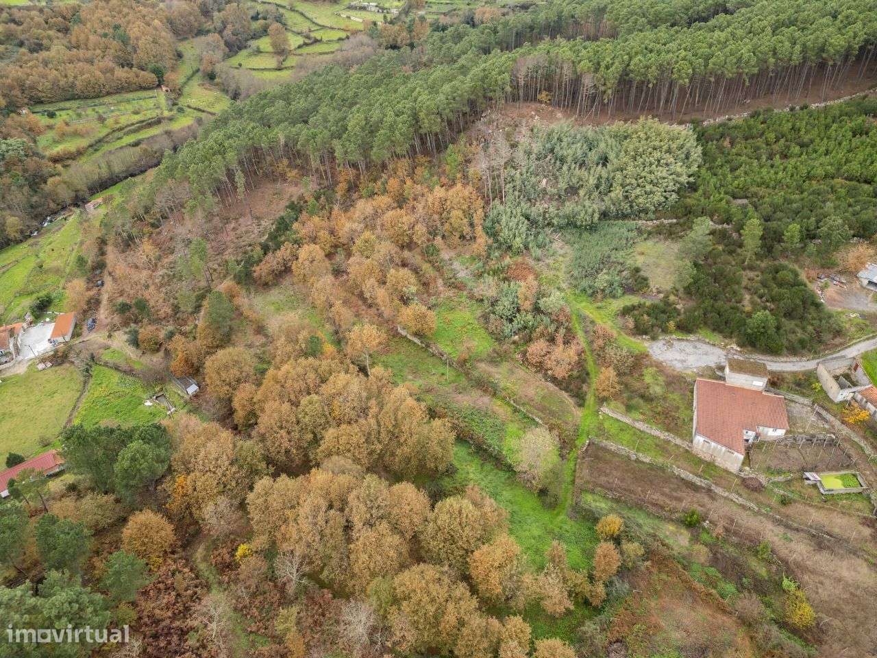 Terreno - Regada Velha, - Grande imagem: 5/33