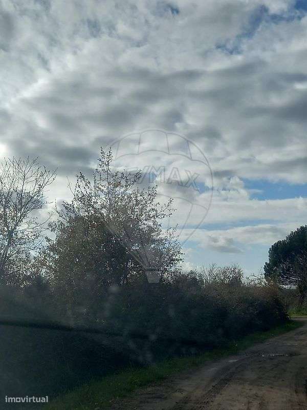 Terreno  para venda - Grande imagem: 5/8