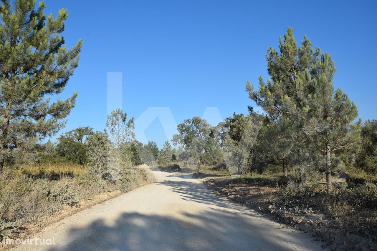 Lote de terreno rústico com cerca de 40 hectares na freguesia da Ota,