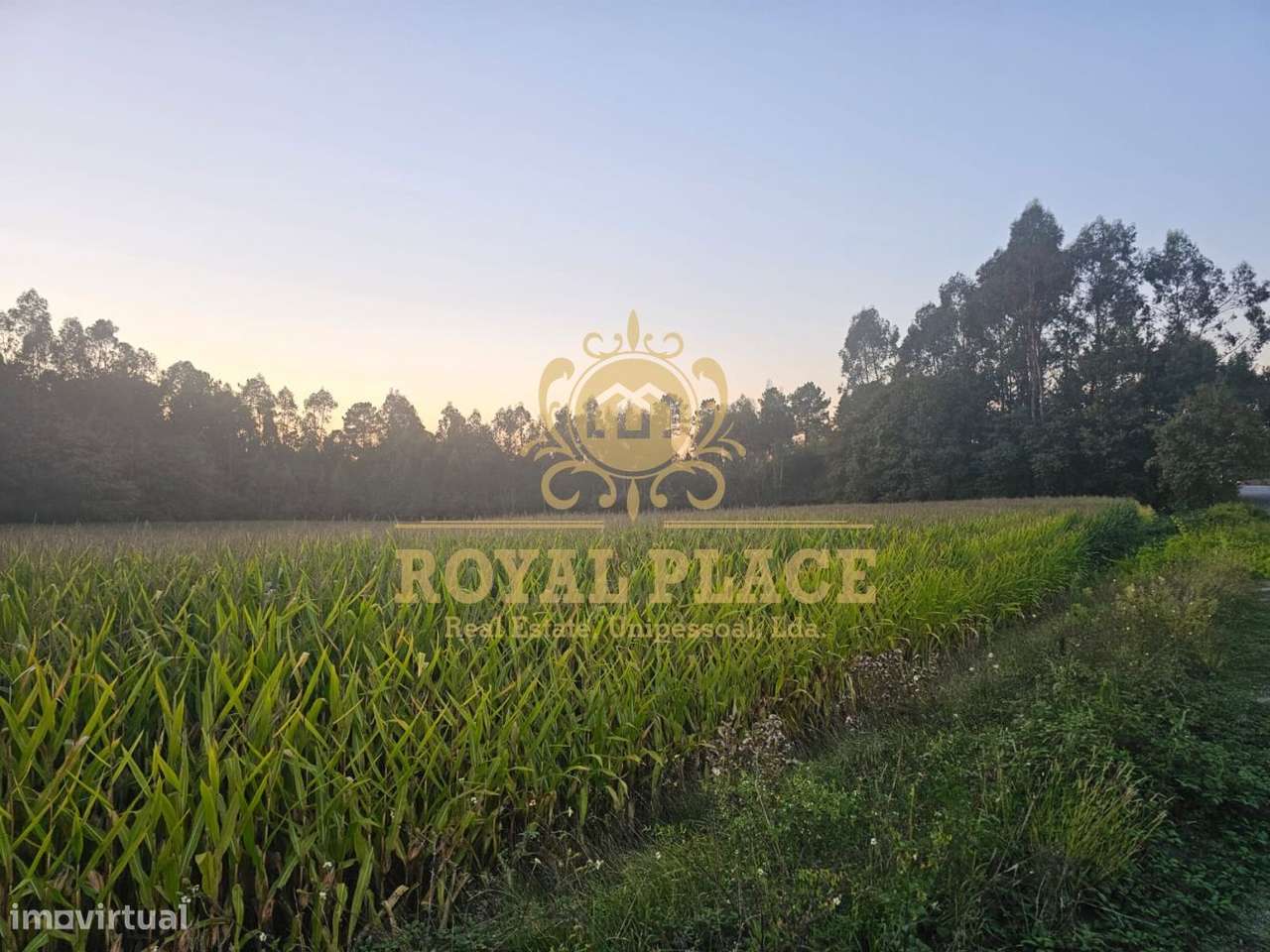 Terreno com PIP aprovado para construção em Santa Maria da Feira - Grande imagem: 4/12