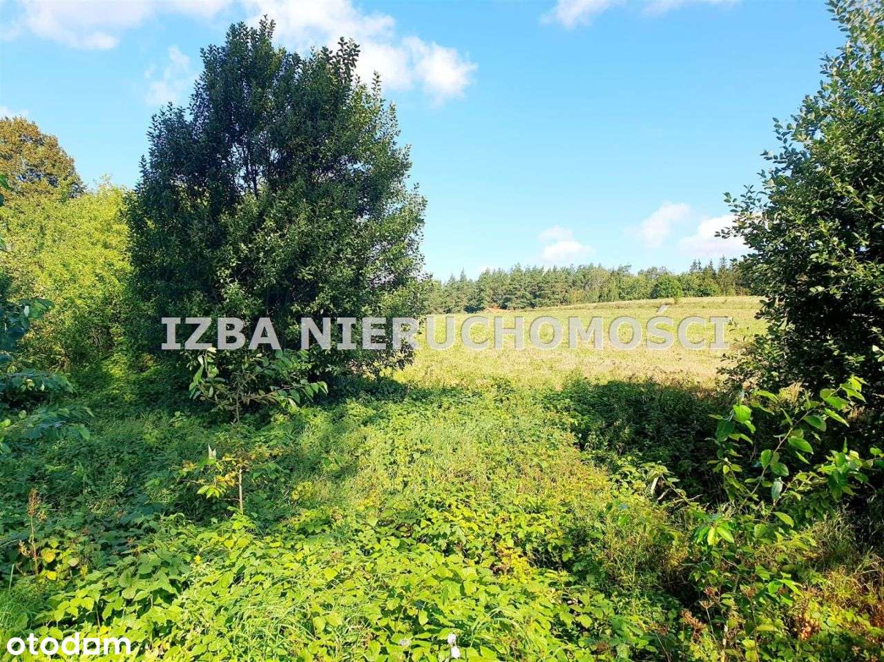 Działka, 88 000 m², Czaple-5