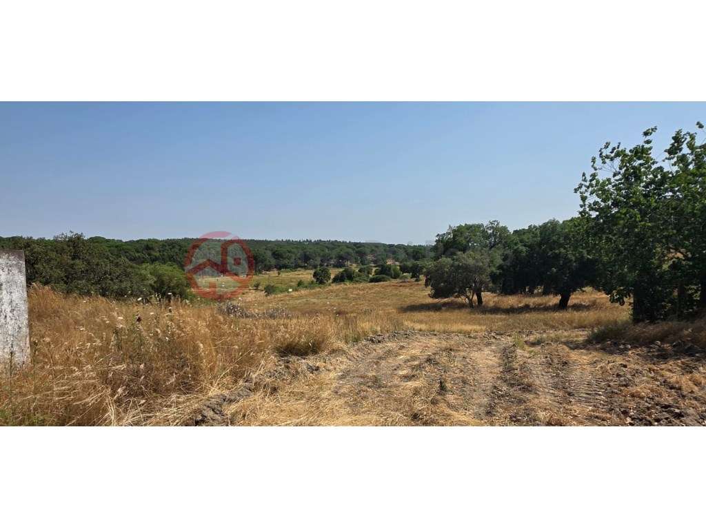 Herdade com 87 Hectares com Sobreiros, Eucaliptos, Pinheiros Mansos... - Grande imagem: 3/57