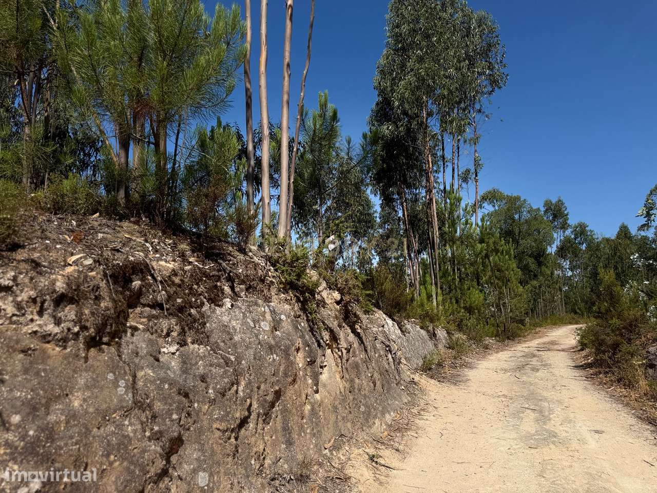Terreno Urbano em Almalaguês, Coimbra-1