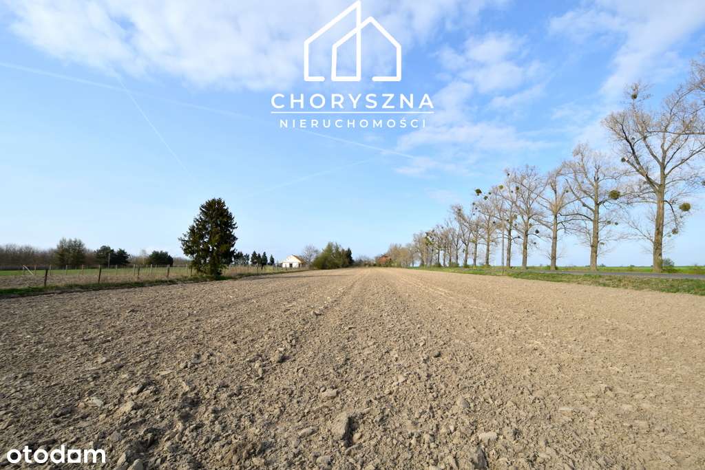 Działka budowlana w Bierutowie -możliwość podziału-9