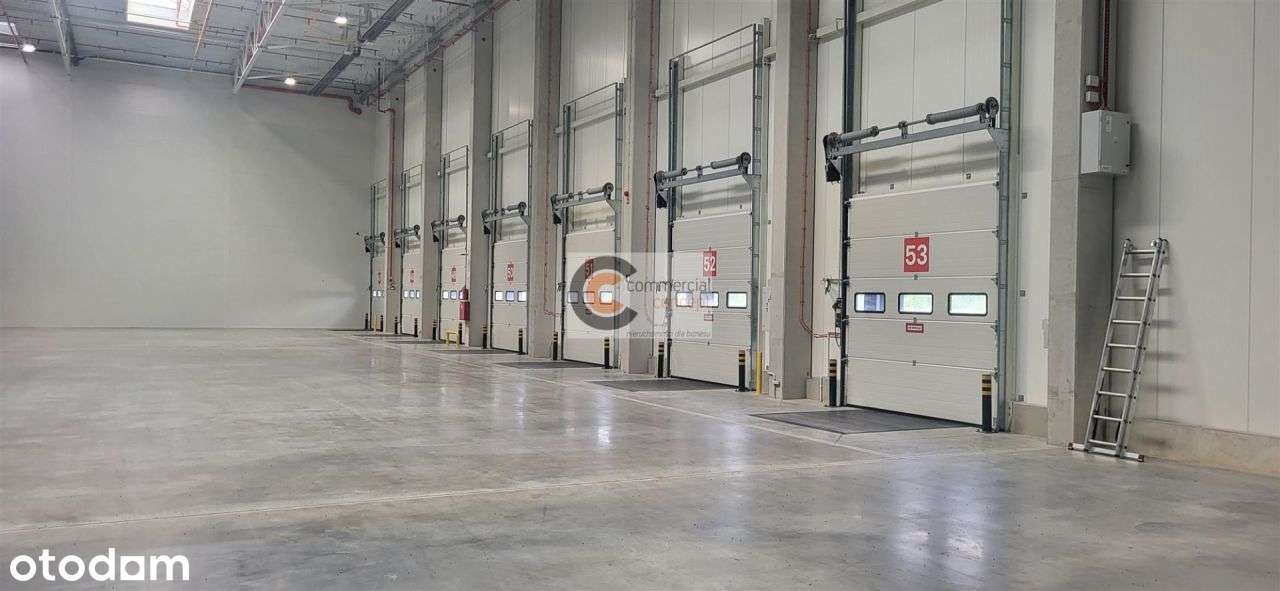 Magazyn blisko lotniska w atrakcyjnej cenie - Pełny obrazek: 5/7