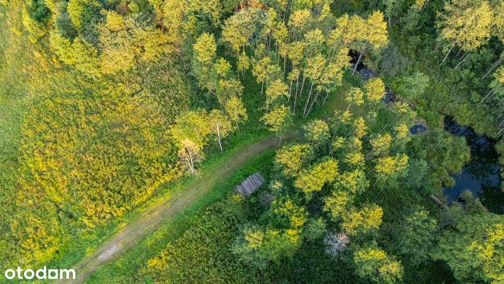 Działka budowlana nad jeziorem k/Augustowa - Pełny obrazek: 5/13