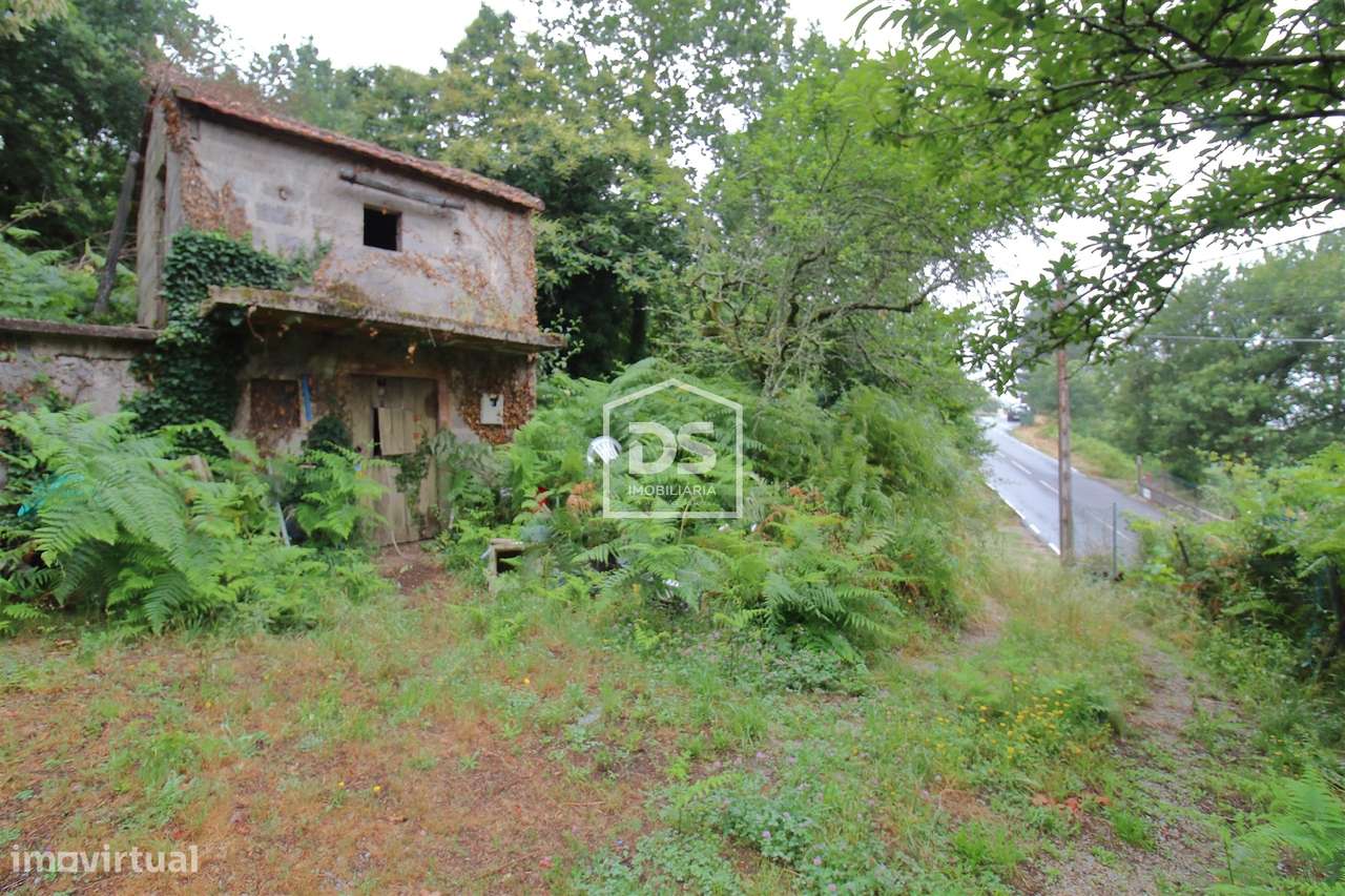 Terreno  Venda em Souselo,Cinfães - Grande imagem: 3/14