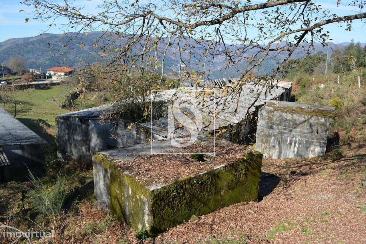 Terreno  Venda em Caniçada e Soengas,Vieira do Minho - Grande imagem: 5/12