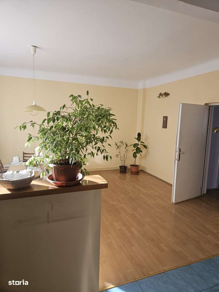 Casă 5 camere, teren 352mp, Andrei Mureșanu-7