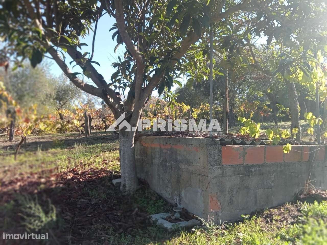 Quintinha para venda com construção rural para venda em Escalos de Bai-17