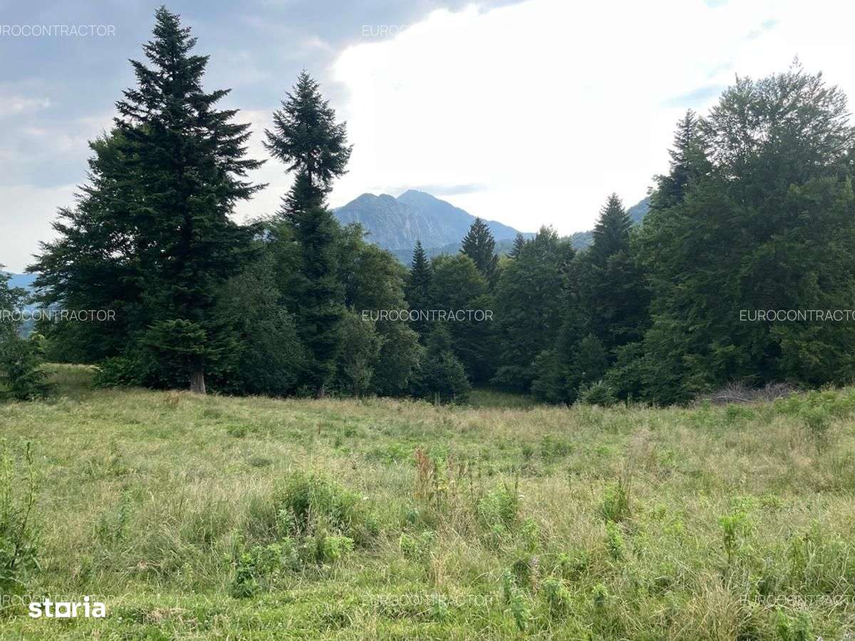 Teren Rasnov inntravilan PUZ) zona Parau Rece - Imagine principală: 3/15