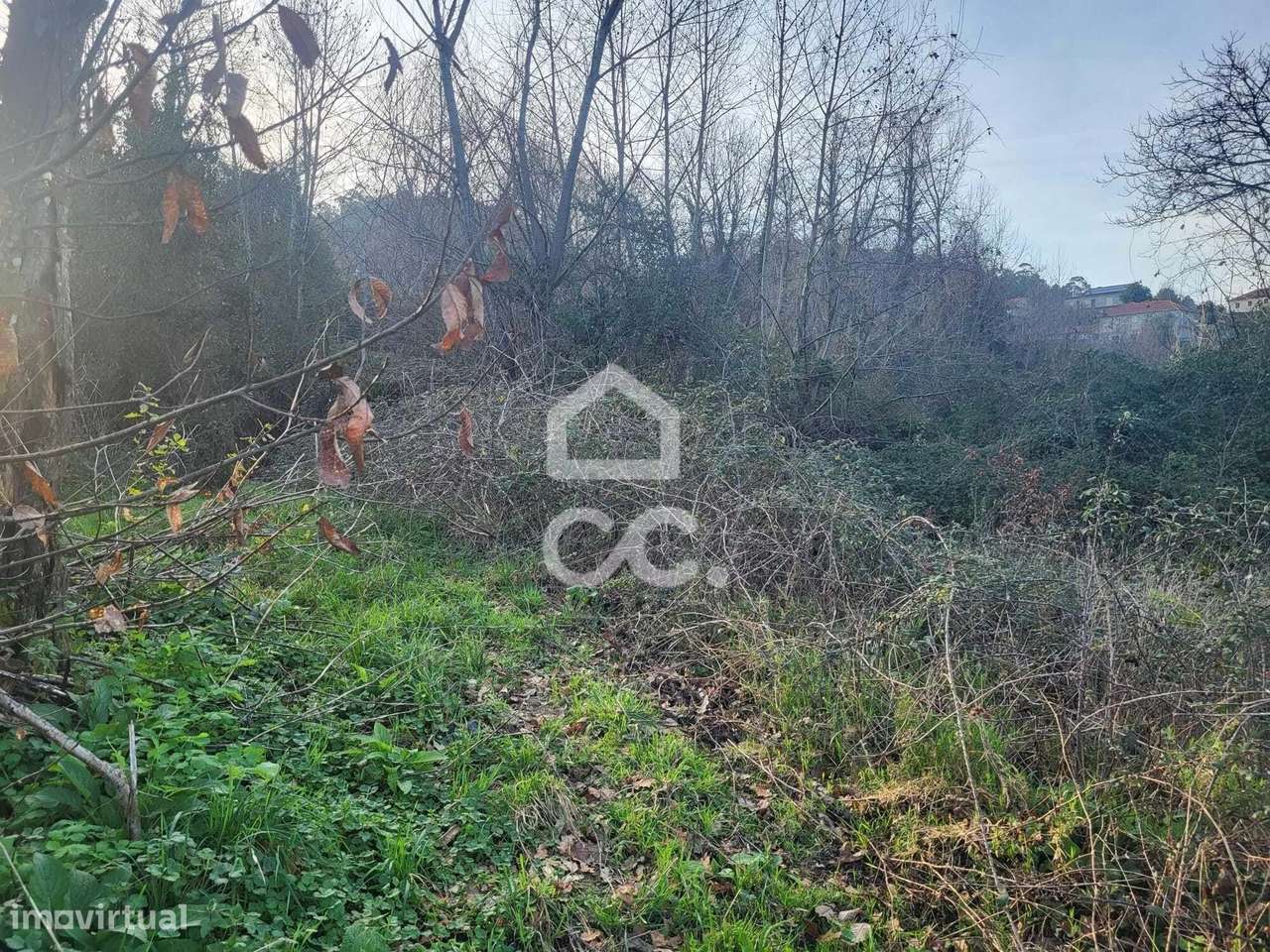 Terreno Agrícola em Silvares (São Martinho) - Fafe - Grande imagem: 5/23