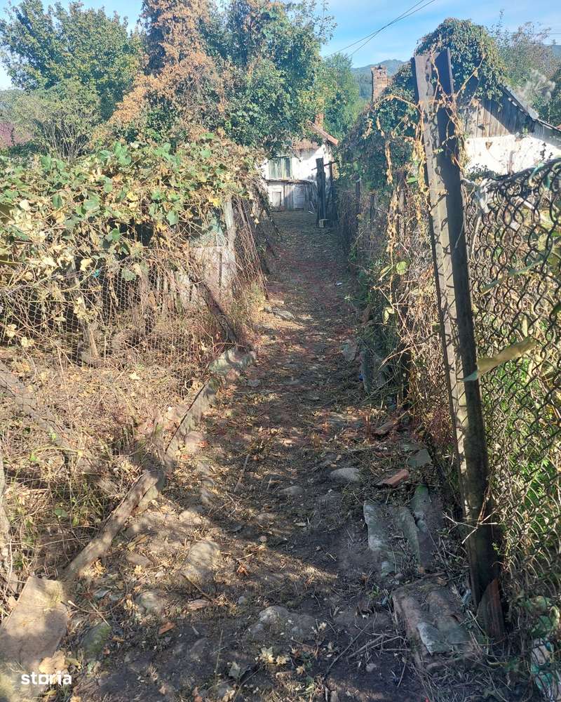 CASĂ DE VÂNZARE 2 CAMERE\ ZĂVOI\ JUD. CARAȘ-SEVERIN-5