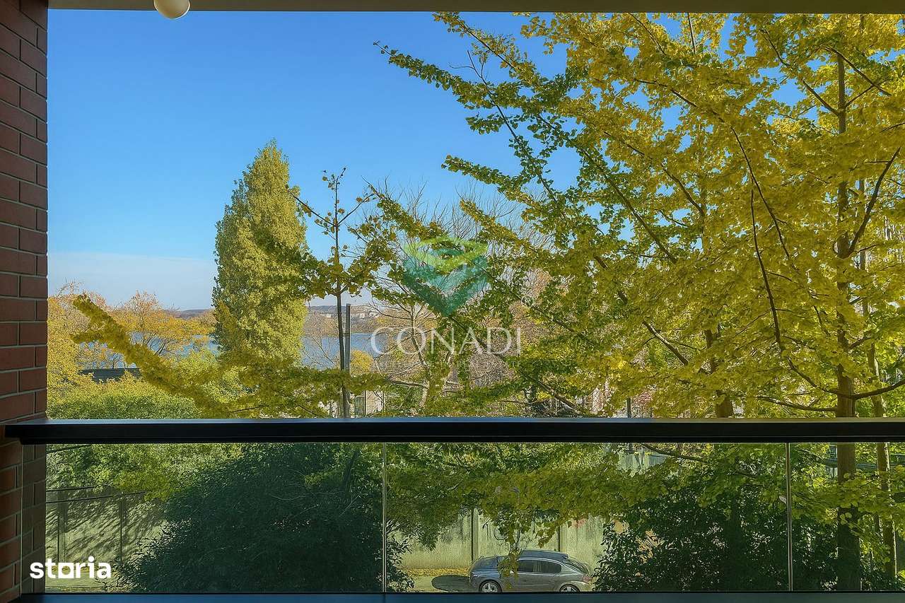 Casa Lacul Tei | Emerald Residence | Garaj | Vedere Lac | Curte-13