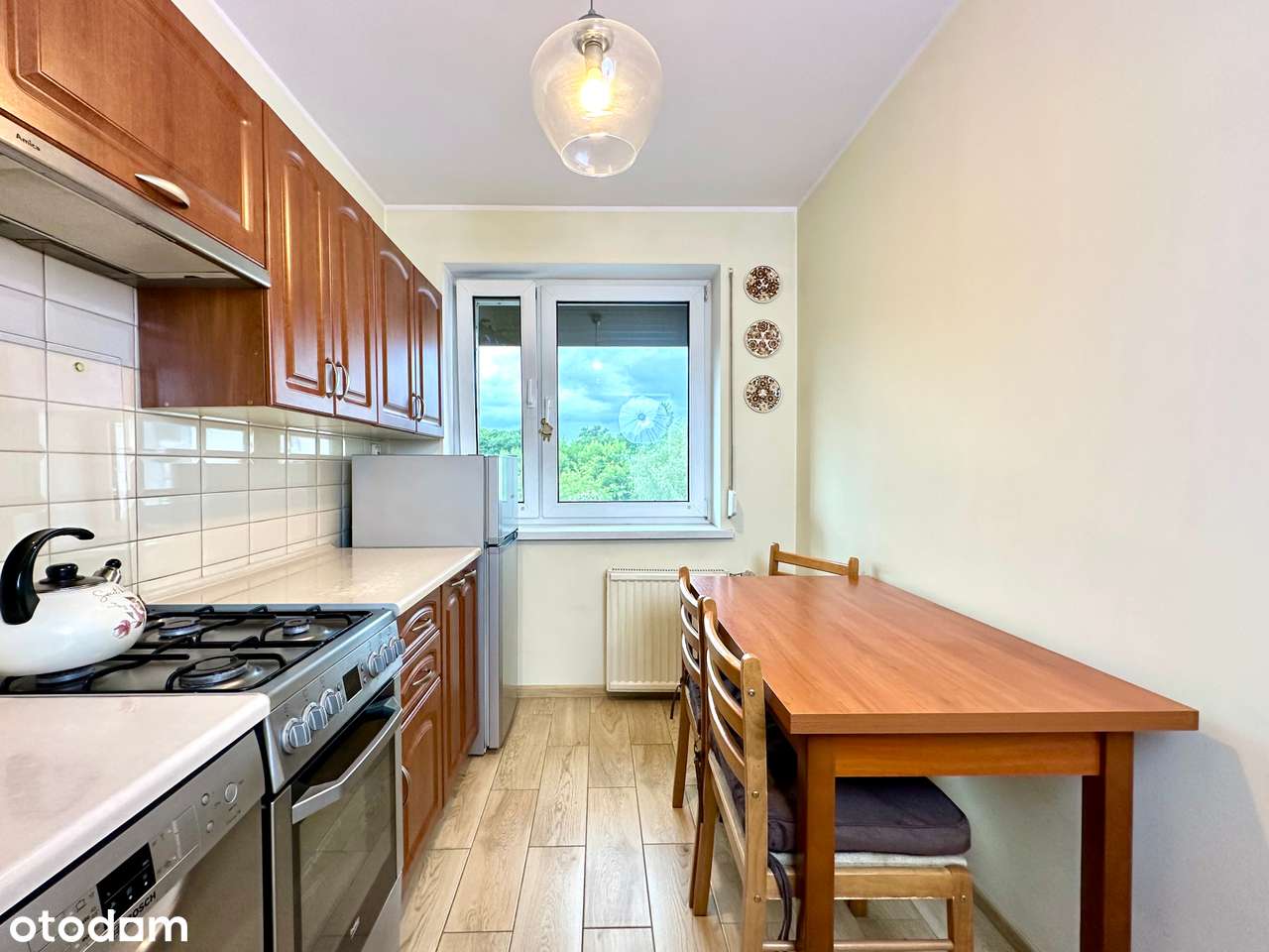 Dom z dużym ogrodem nad rzeką. - Pełny obrazek: 2/18