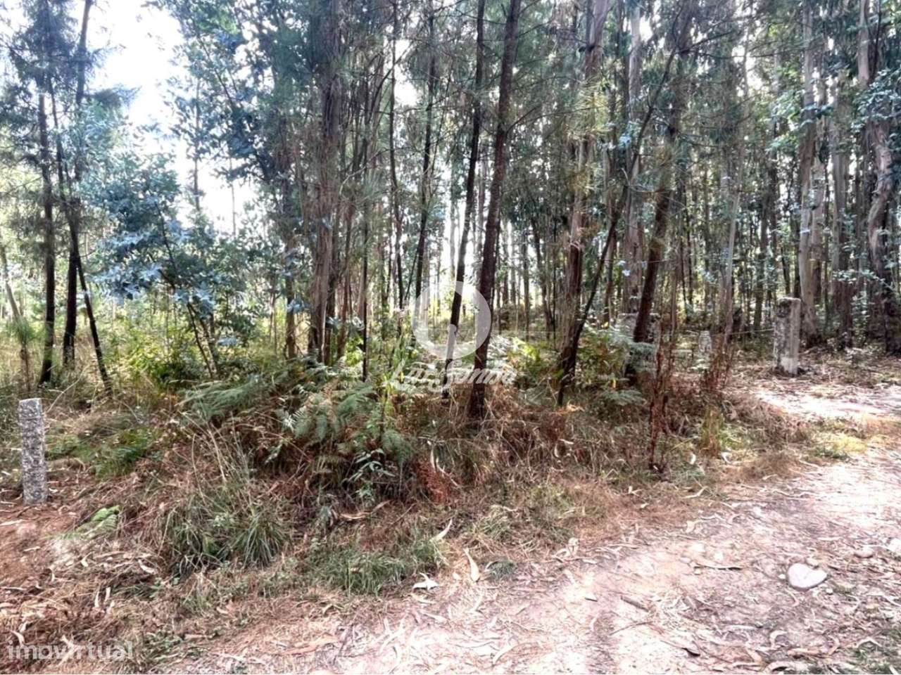 Terreno em Barcelos - Grande imagem: 5/22