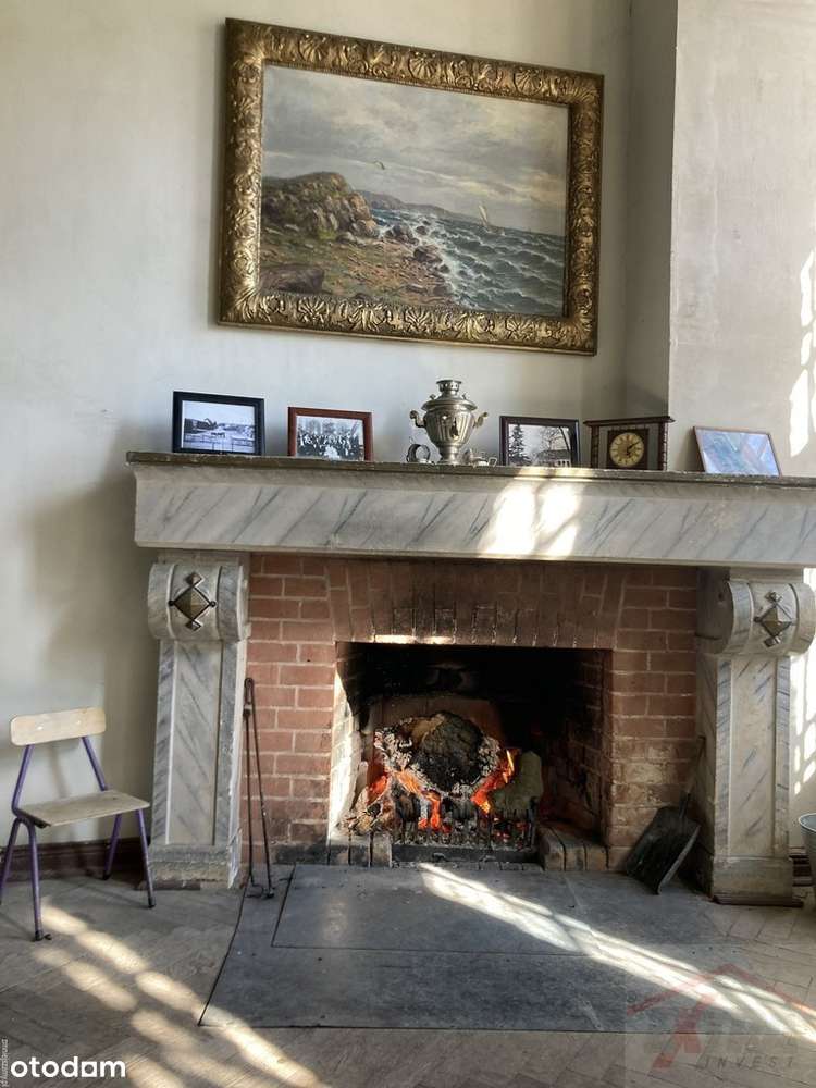 Inwestycja  21 ha gruntów z pałacem i parkiem - Pełny obrazek: 5/17