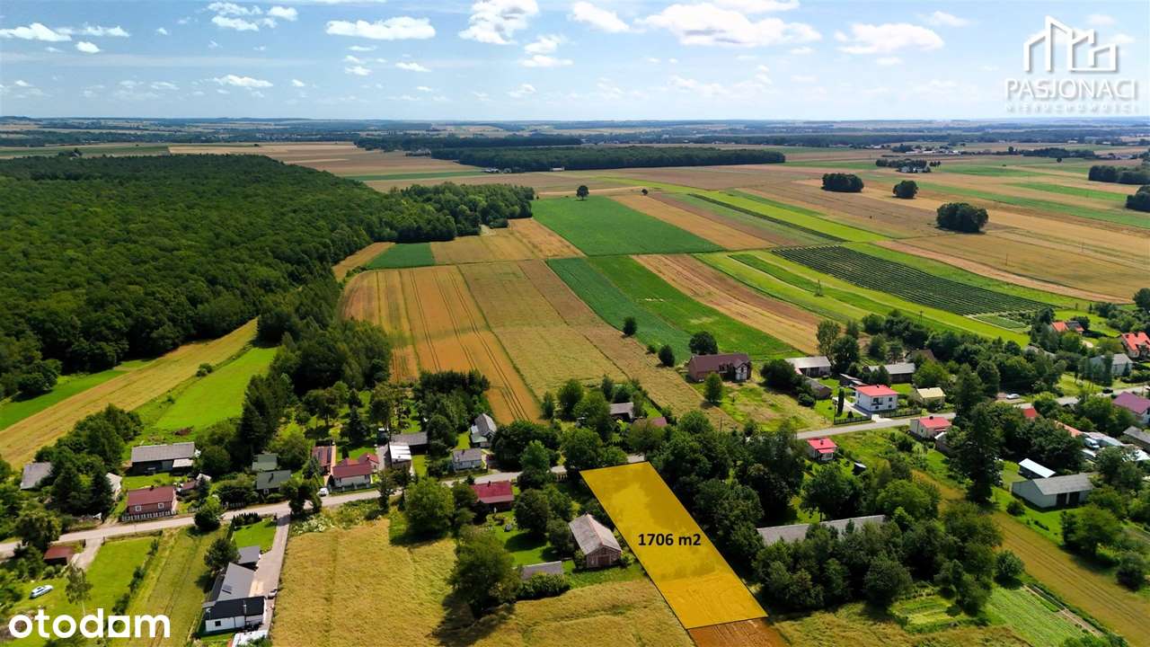 Działka budowlana blisko lasu - Dębszczyzna - Pełny obrazek: 3/8