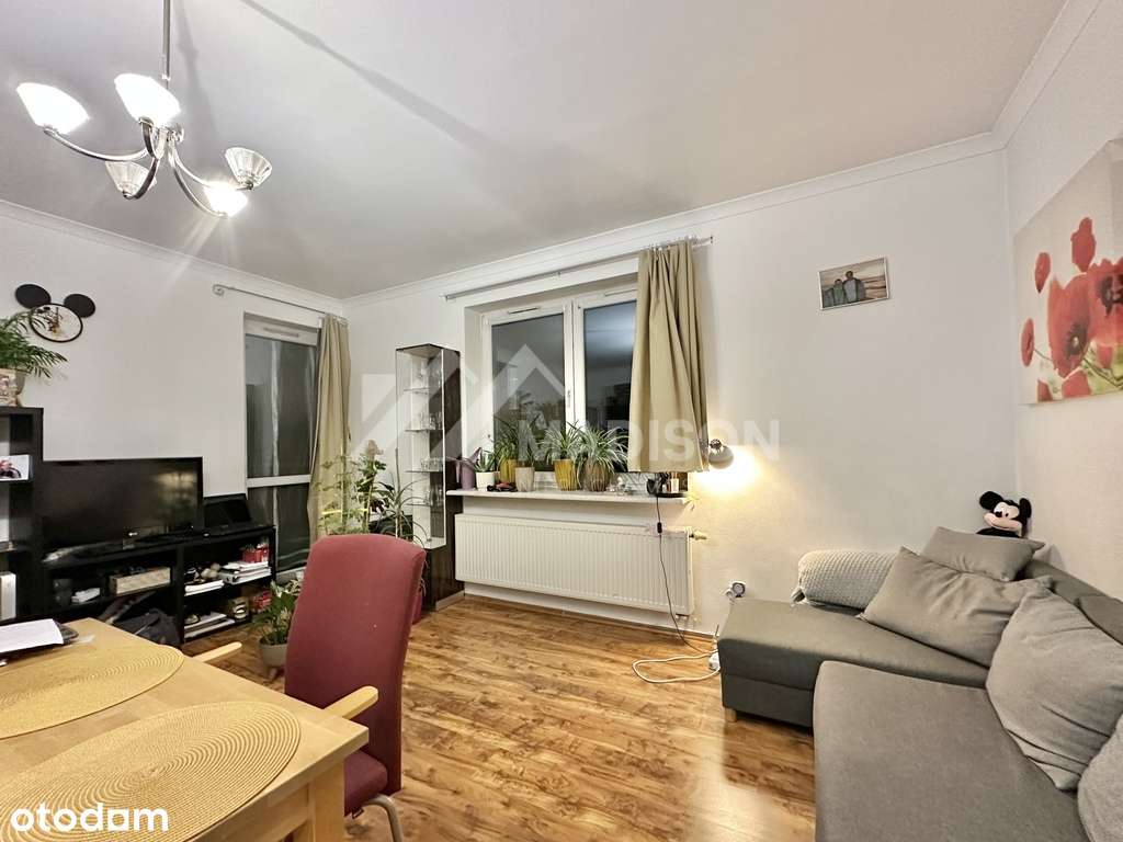 38m | 2 pokoje | duży balkon | komórka | garaż-2