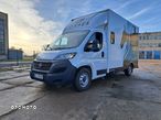 Fiat Ducato - 4