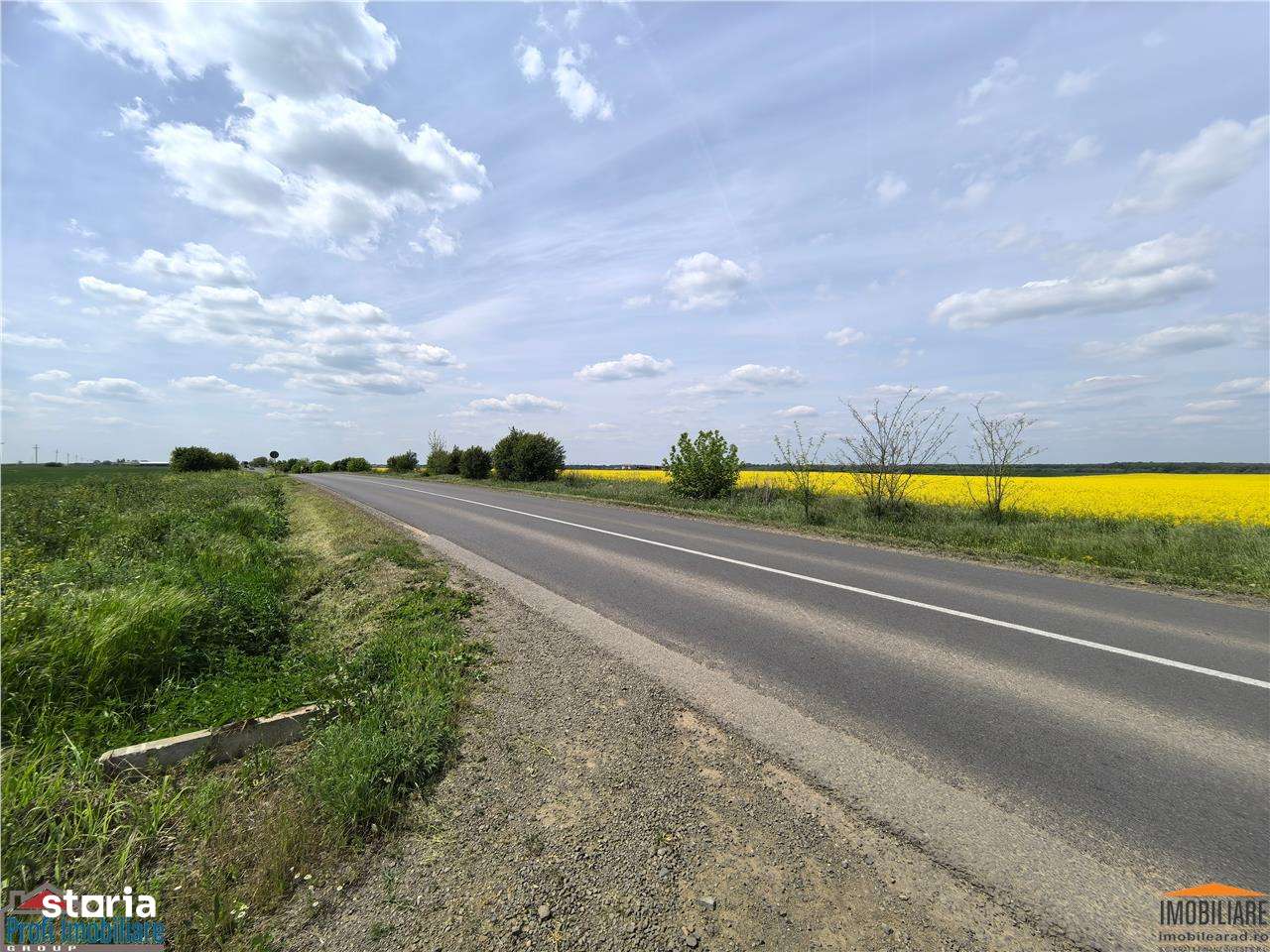 Teren 7 HA cu FS de 143 ml la DJ682 langa zona industriala Zadareni - Imagine principală: 3/5