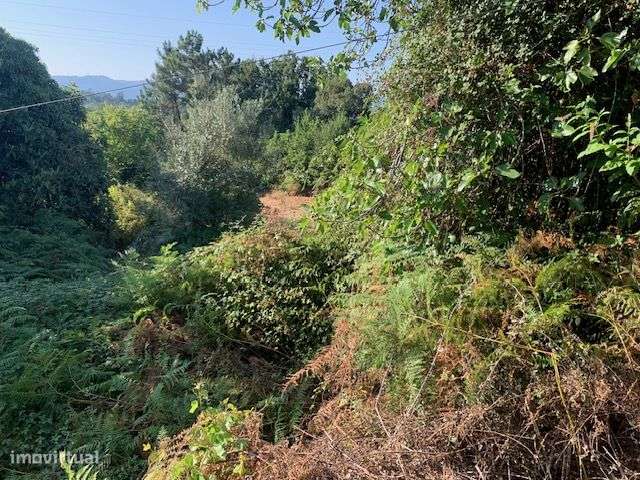 Quinta do Barreiro com 2 Casas para Recuperar-20