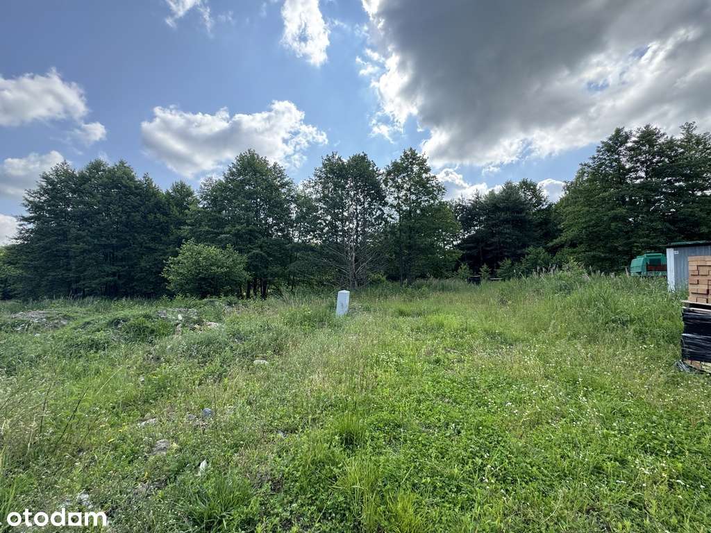 Przy bocznej ulicy, media na działce, zadrzewienia-6