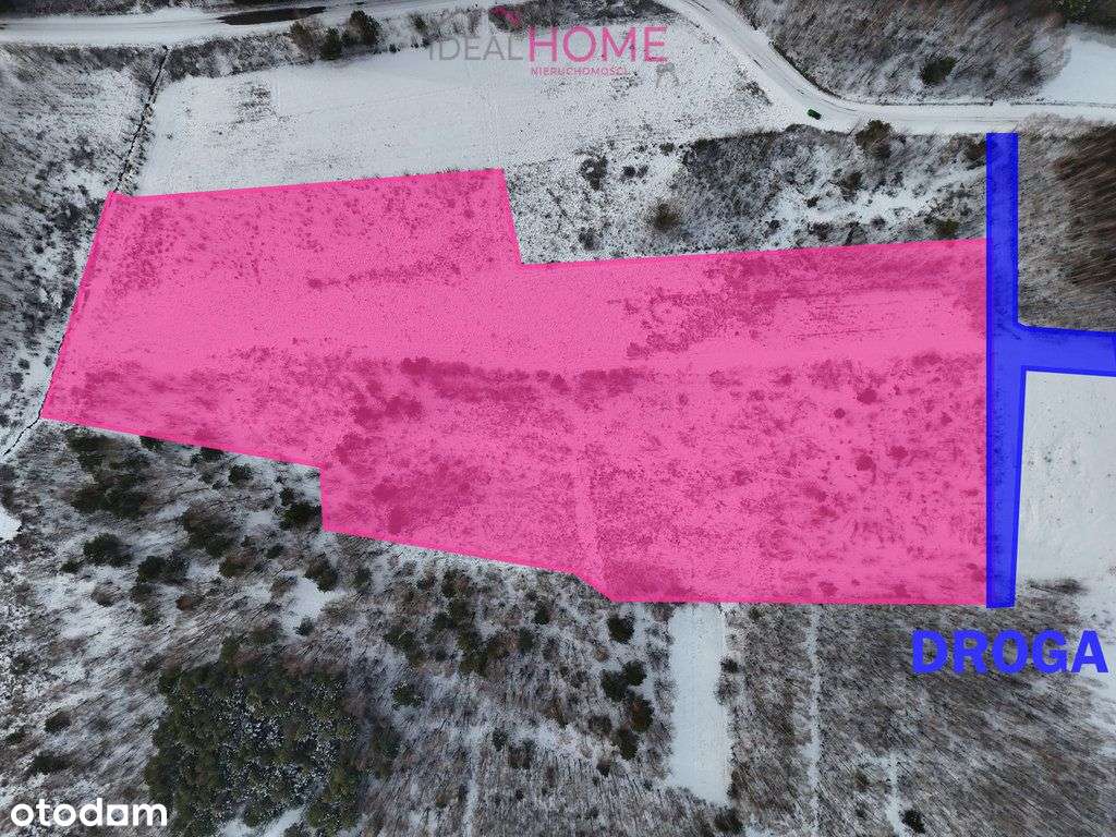 Sprzedam działkę 3,53ha - Krzątka obok Nowej Dęby - Pełny obrazek: 5/20