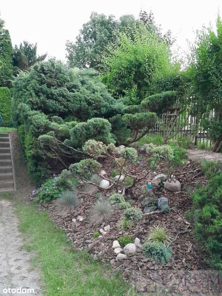 4 pokoje z garażem-15