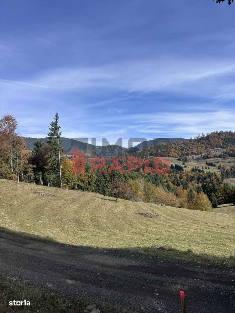 De vanzare 18.77 ari teren intravilan in Colibita (stanga lacului)-8