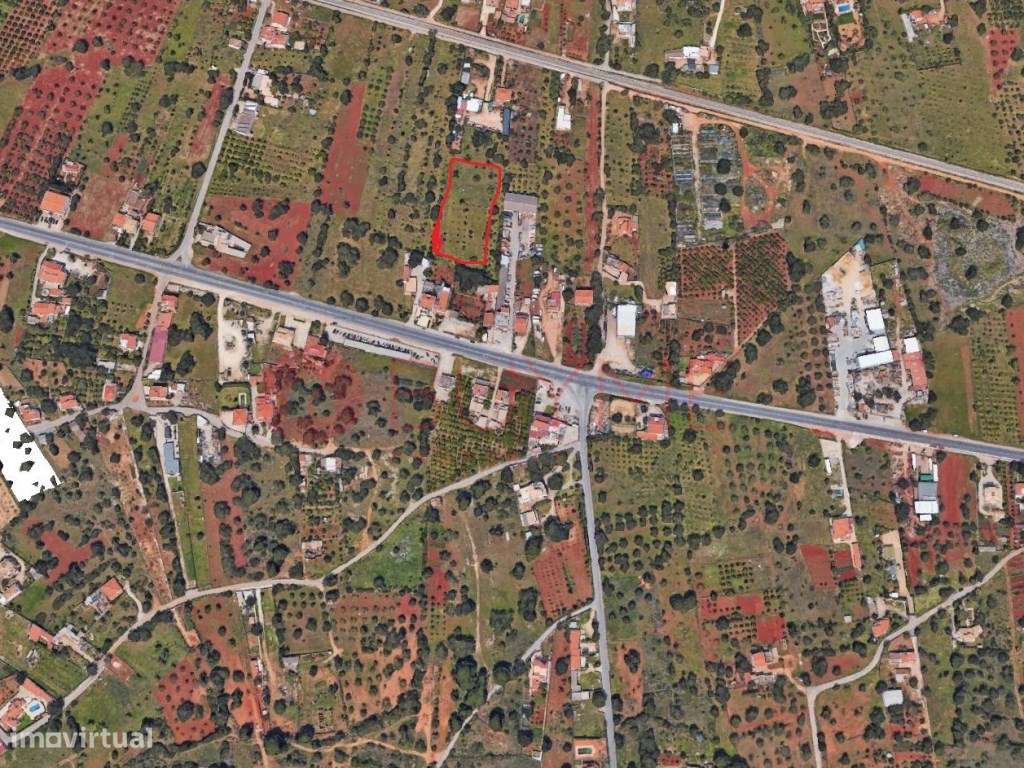 Terreno Rústico com Potencial Agrícola entre Vilamoura e Boliqueime - Grande imagem: 3/3