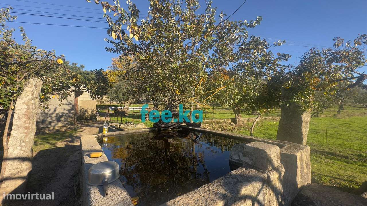 Quinta em Escalos de Baixo-10