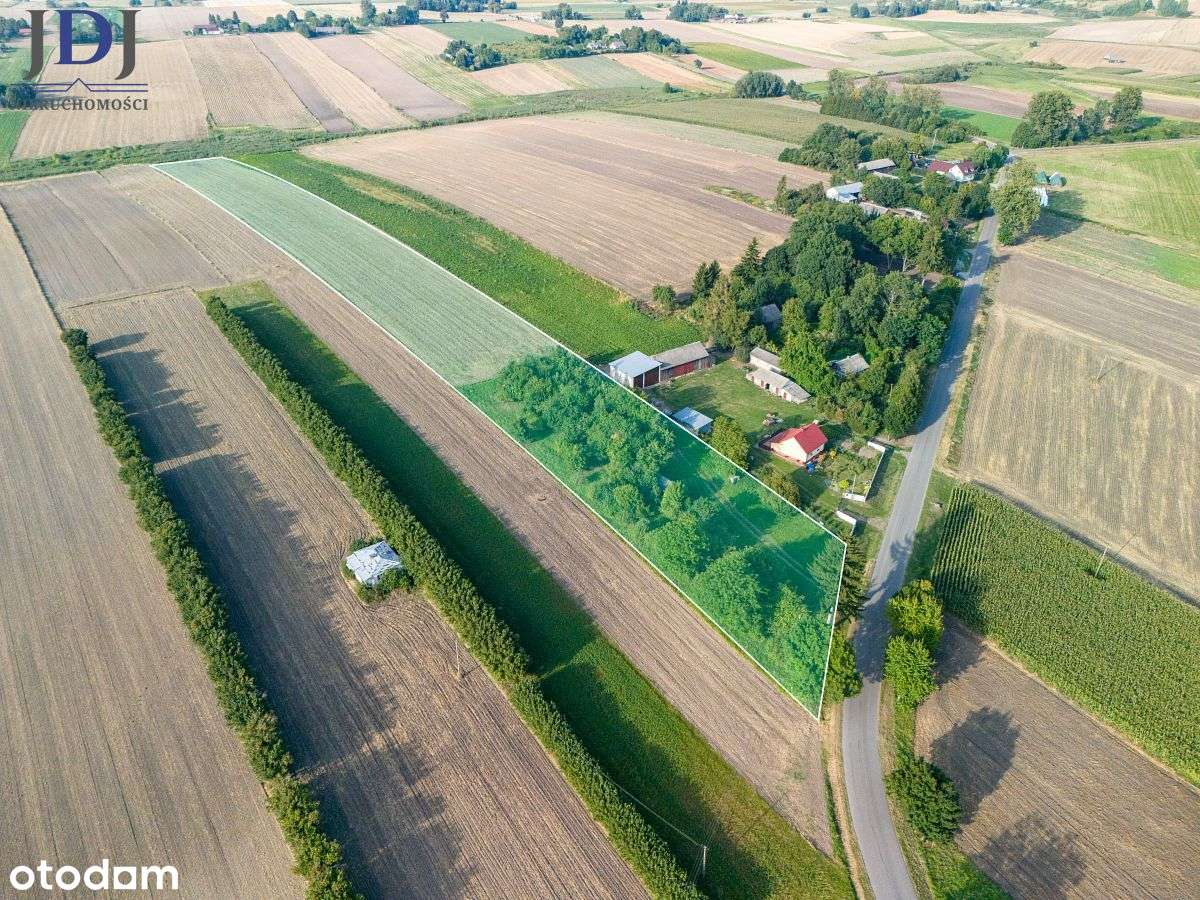 Sześć działek  o łącznej powierzchni 2.5 ha. - Pełny obrazek: 4/19