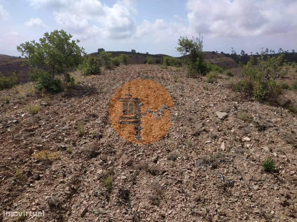 TERRENO COM 53.520 M2 - VISTA MAR - COM LAGO - POSSIBILIDADE DE CON... - Grande imagem: 4/60