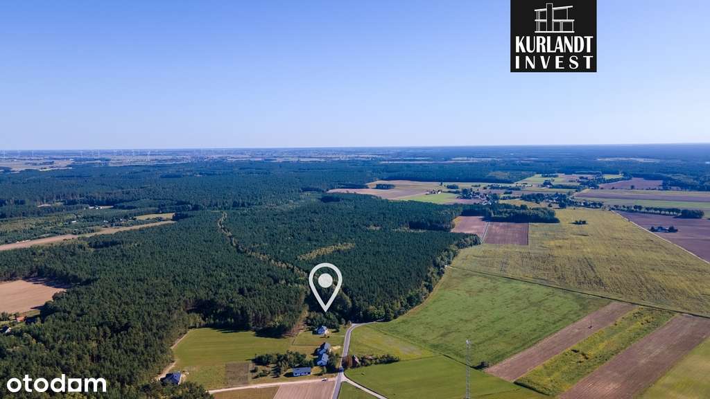 Działka budowlana 3.075 m² MPZP ściana lasu - Pełny obrazek: 2/6