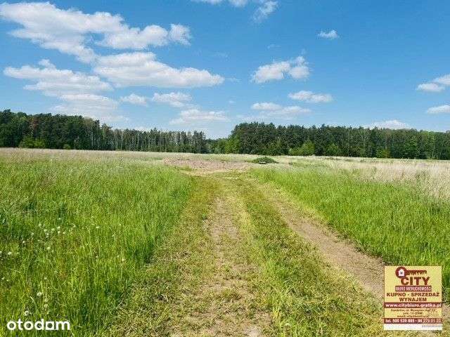 Działka budowlana 1150m2, Nagórki Jabłoń - Pełny obrazek: 5/10