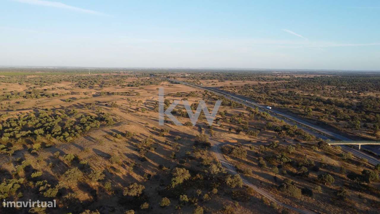 Refúgio Ideal no Alentejo: Investimento único com Potencial Agrícola e - Grande imagem: 5/23